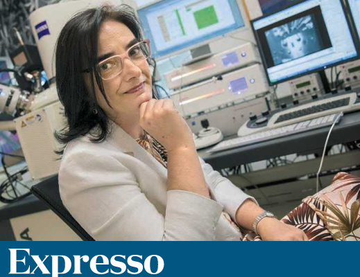 "Cientista portuguesa na corrida ao Nobel da Física"