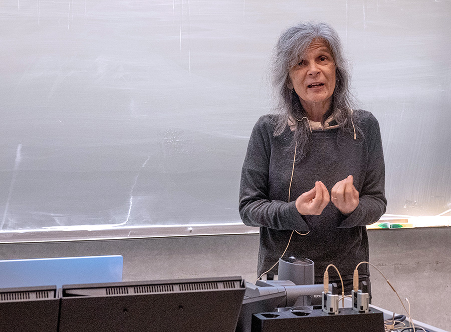 Helena Godinho premiada com Onsager Professorship 2023