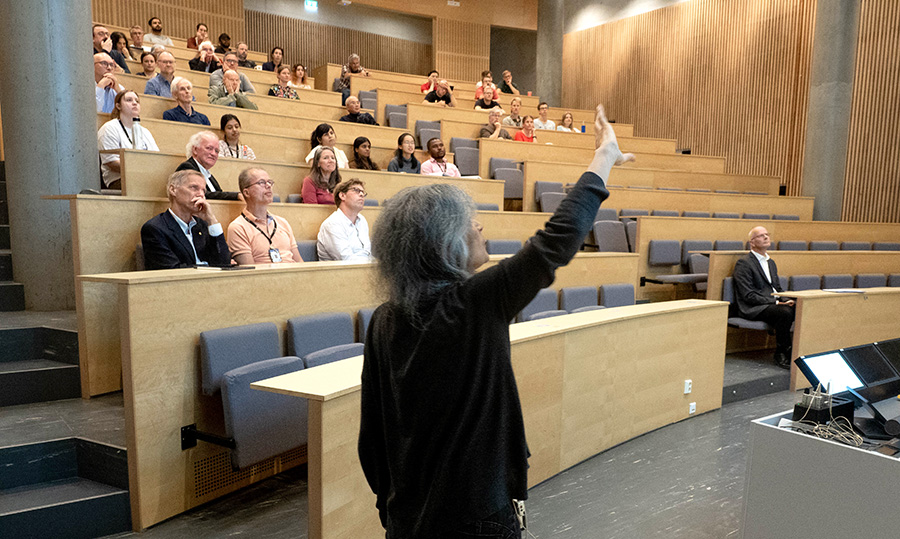 Helena Godinho premiada com Onsager Professorship 2023