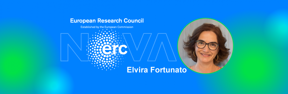 Elvira Fortunato recebe bolsa do Conselho Europeu de Investigação