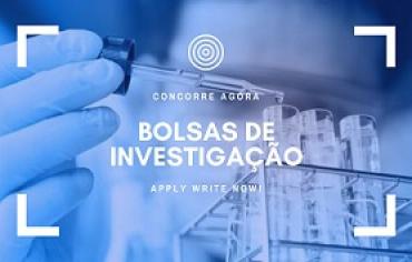 UMinho 1 Bolsa de Investigação (BI)