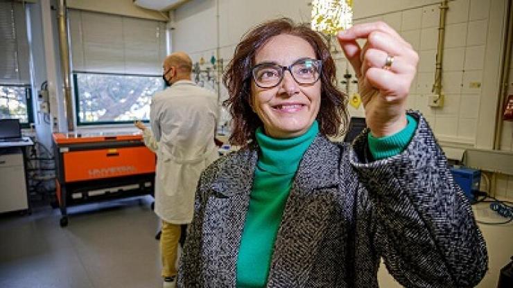 Grafeno Verde. Elvira Fortunato continua a revolucionar a eletrónica com materiais sustentáveis