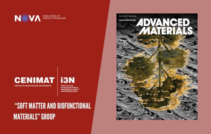 Publicação de artigo na prestigiada revista Advanced Materials
