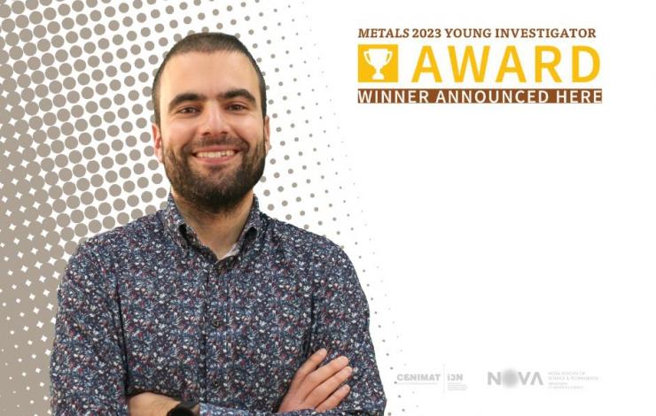 Metals 2023 Young Investigator Award