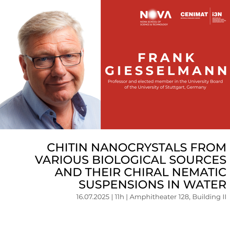 Frank Giesselmann