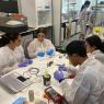 CENIMAT|i3N concludes another successful edition of "Semana Ciência Viva no Laboratório"