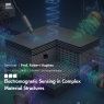 Seminar | Electromagnetic Sensing in Complex Material Structures