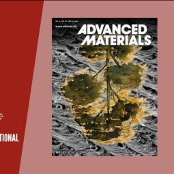 Publicação de artigo na prestigiada revista Advanced Materials