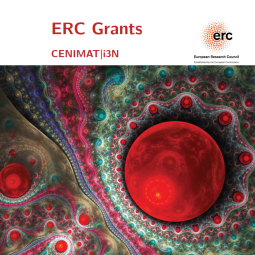 i3N ERC Brochure