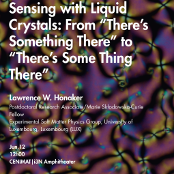 Seminar | Sensing with Liquid Crystals: From “There’s Something There” to “There’s Some Thing There”