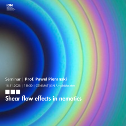 Seminar | Shear flow effects in nematics